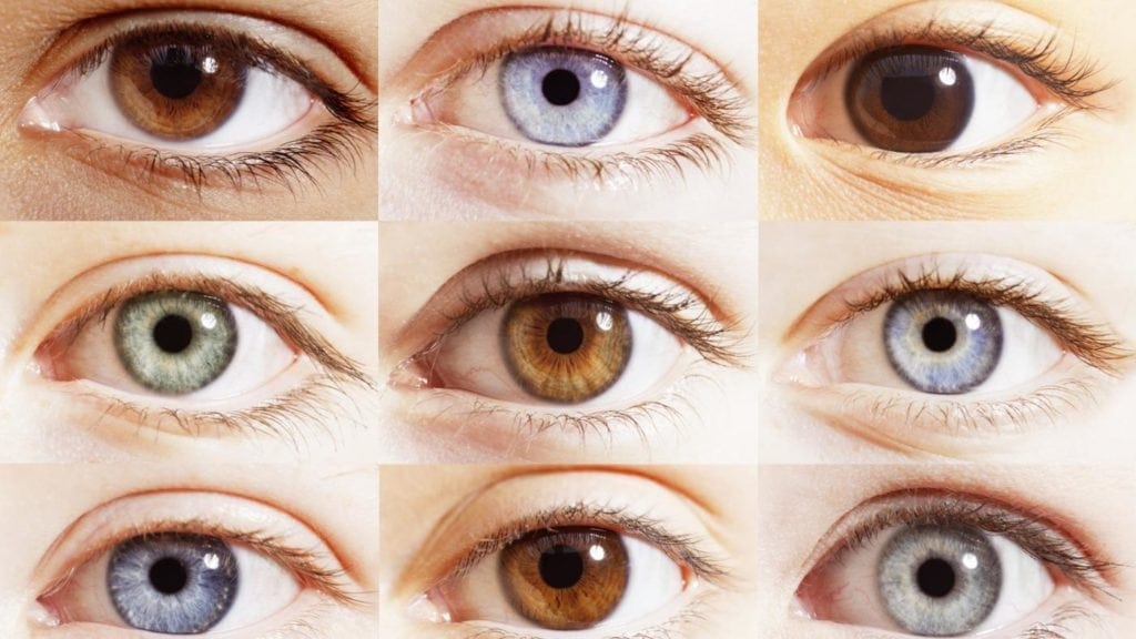 eye color chart