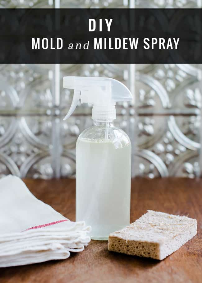 DIY Mold and Mildew Spray 