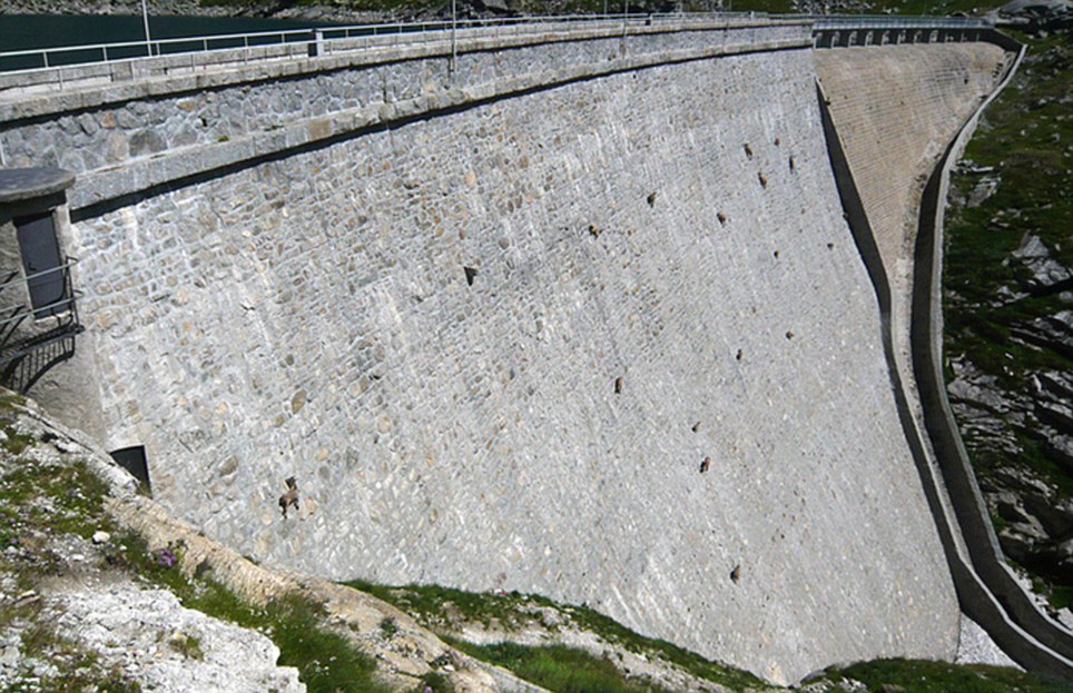 Alpine horns:  At first sight the specks on this dam appear appear to be rocks, but on closer inspection .....