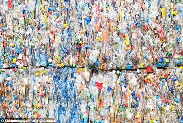 Previous research has also suggested two-thirds of plastic comes from the 20 most contaminated rivers. But Dr Schmidt reckons this can be narrowed down even further (stock image)