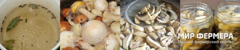 Маринованные белые грибы с уксусом