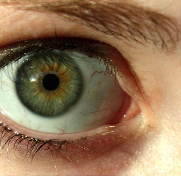 зеленые глаза значение